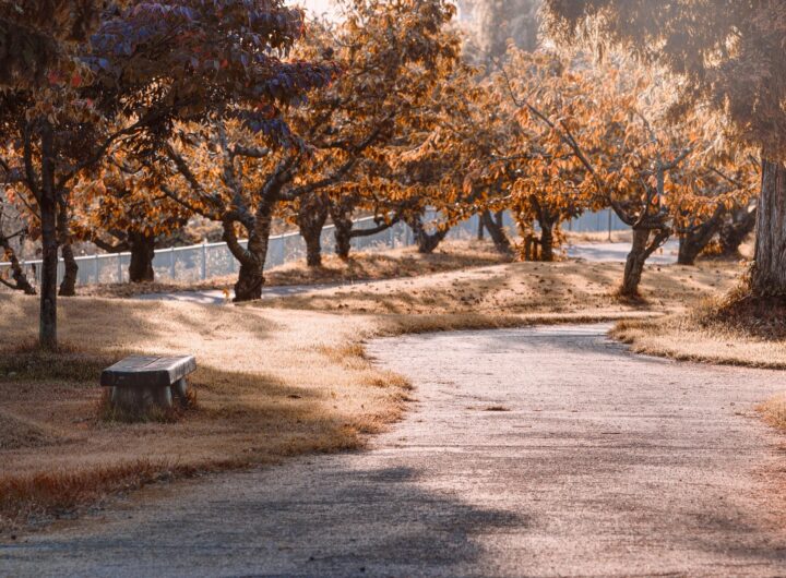 park ga2a083800 1920